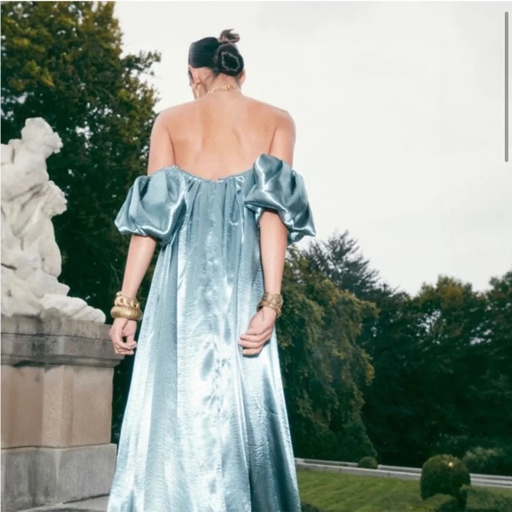 HOST PICK 🎉 Caroline Constas Palmer Dress - Picture 2 of 7